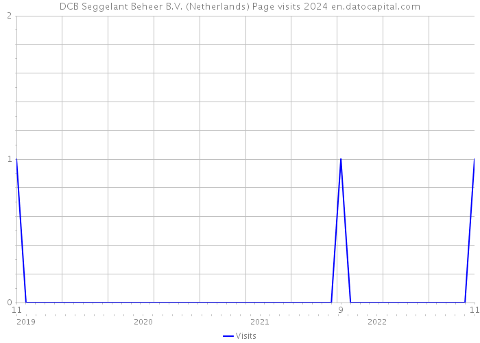 DCB Seggelant Beheer B.V. (Netherlands) Page visits 2024 