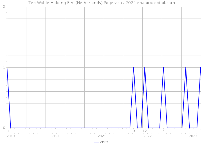 Ten Wolde Holding B.V. (Netherlands) Page visits 2024 