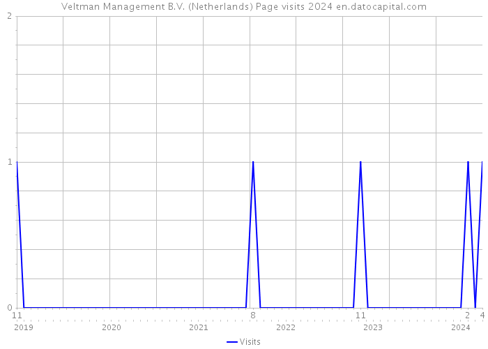 Veltman Management B.V. (Netherlands) Page visits 2024 