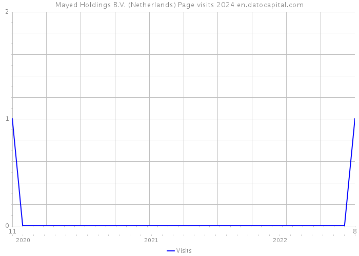 Mayed Holdings B.V. (Netherlands) Page visits 2024 