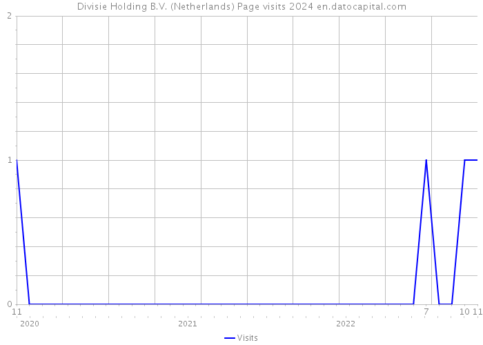 Divisie Holding B.V. (Netherlands) Page visits 2024 