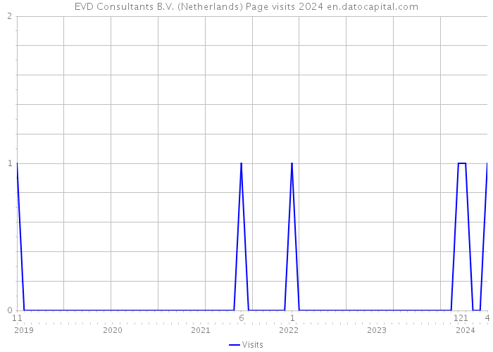 EVD Consultants B.V. (Netherlands) Page visits 2024 
