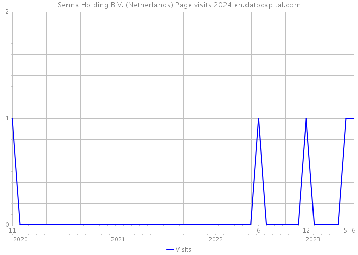 Senna Holding B.V. (Netherlands) Page visits 2024 