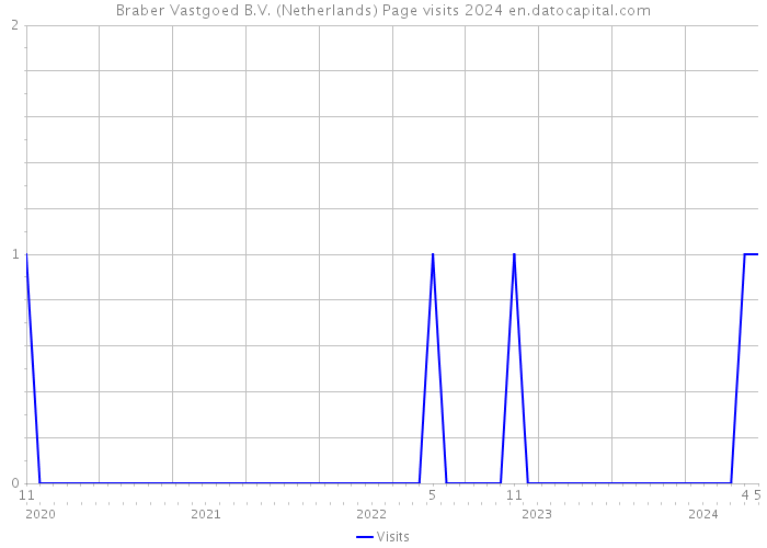 Braber Vastgoed B.V. (Netherlands) Page visits 2024 