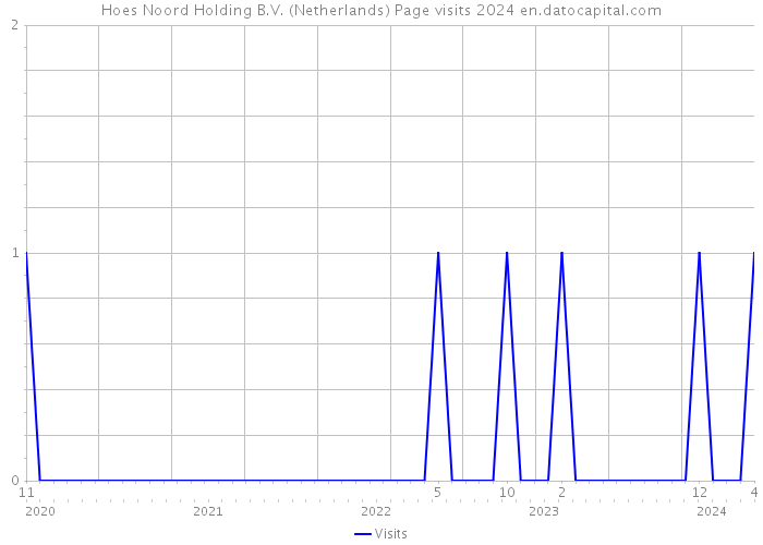 Hoes Noord Holding B.V. (Netherlands) Page visits 2024 