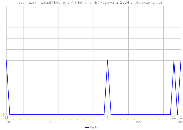 Beerman Financial Holding B.V. (Netherlands) Page visits 2024 