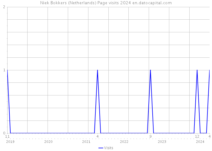 Niek Bokkers (Netherlands) Page visits 2024 