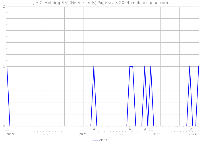J.A.C. Holding B.V. (Netherlands) Page visits 2024 