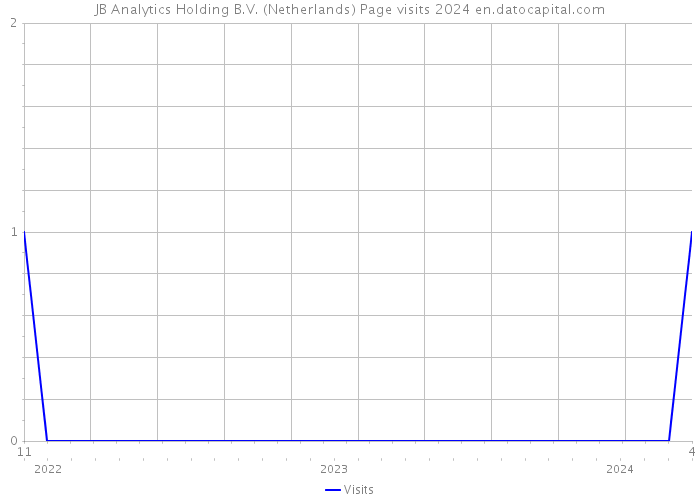 JB Analytics Holding B.V. (Netherlands) Page visits 2024 