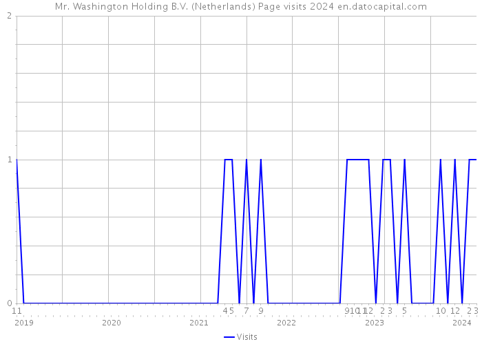 Mr. Washington Holding B.V. (Netherlands) Page visits 2024 