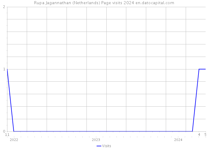 Rupa Jagannathan (Netherlands) Page visits 2024 