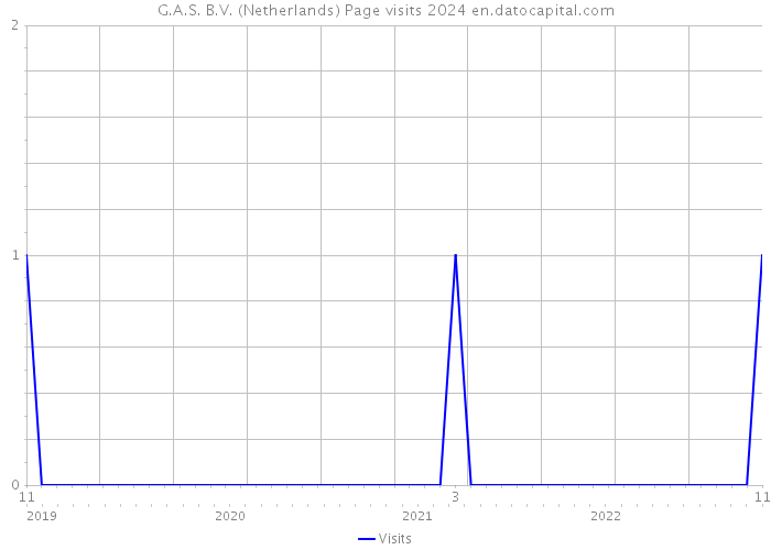 G.A.S. B.V. (Netherlands) Page visits 2024 