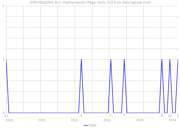 ANS HOLDING B.V. (Netherlands) Page visits 2024 