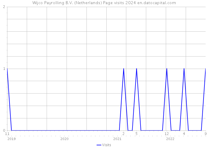 Wijco Payrolling B.V. (Netherlands) Page visits 2024 