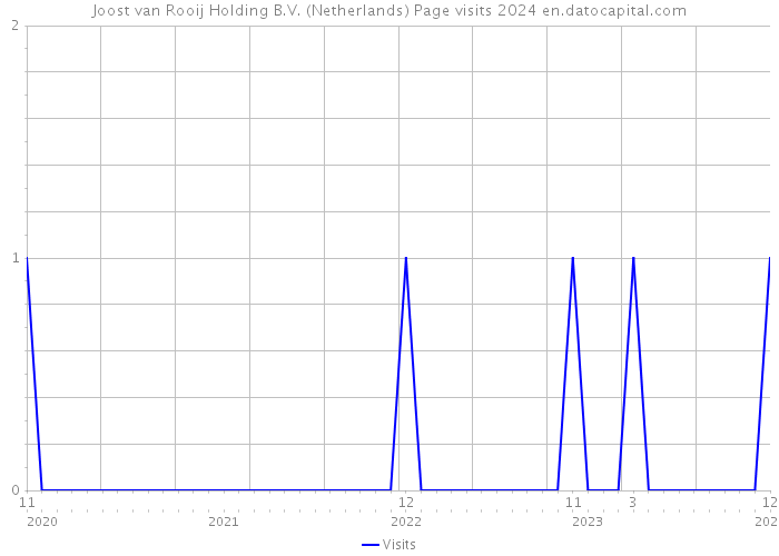 Joost van Rooij Holding B.V. (Netherlands) Page visits 2024 