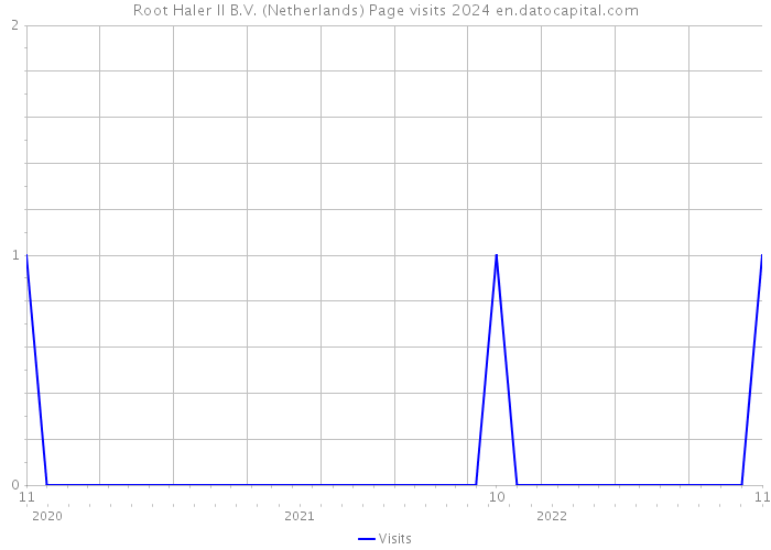 Root Haler II B.V. (Netherlands) Page visits 2024 
