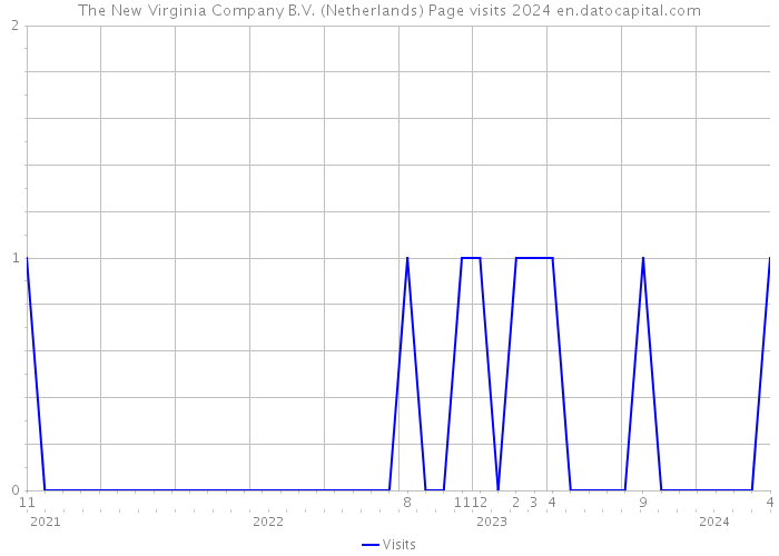 The New Virginia Company B.V. (Netherlands) Page visits 2024 
