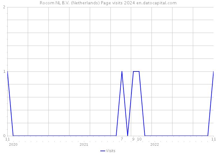 Rocom NL B.V. (Netherlands) Page visits 2024 