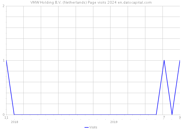 VMW Holding B.V. (Netherlands) Page visits 2024 