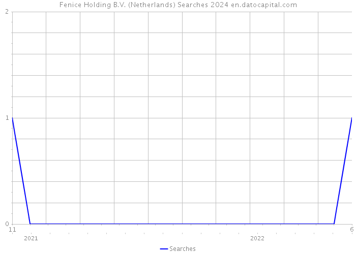 Fenice Holding B.V. (Netherlands) Searches 2024 
