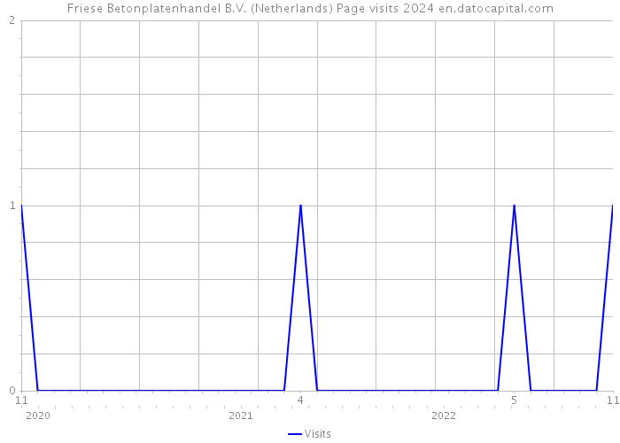 Friese Betonplatenhandel B.V. (Netherlands) Page visits 2024 