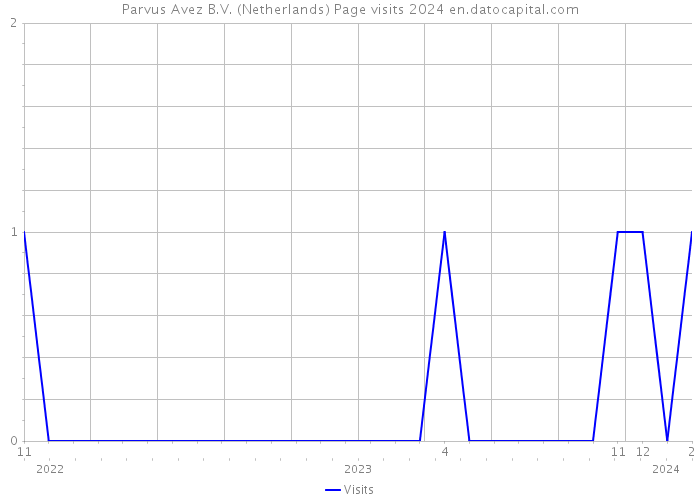 Parvus Avez B.V. (Netherlands) Page visits 2024 