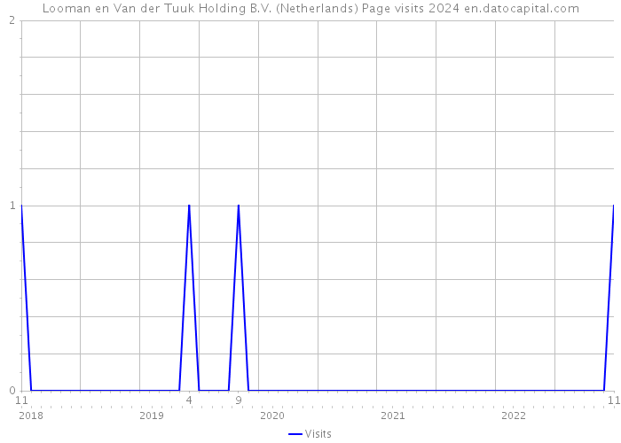 Looman en Van der Tuuk Holding B.V. (Netherlands) Page visits 2024 