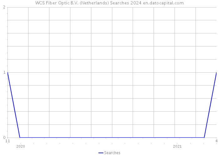 WCS Fiber Optic B.V. (Netherlands) Searches 2024 