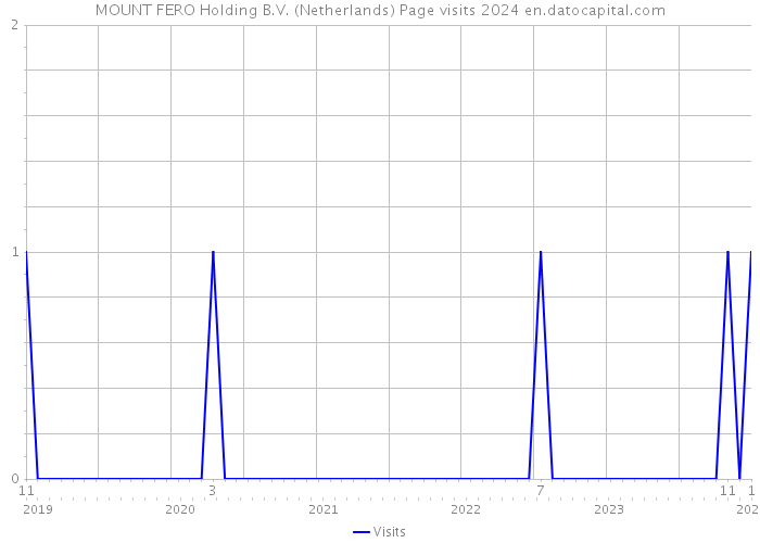 MOUNT FERO Holding B.V. (Netherlands) Page visits 2024 