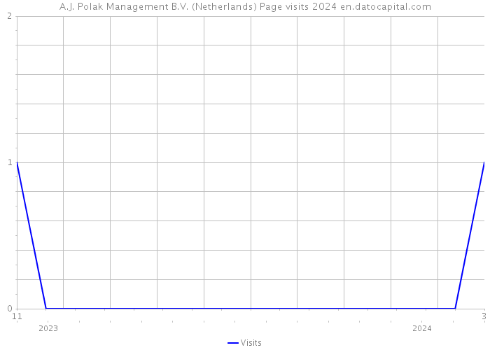 A.J. Polak Management B.V. (Netherlands) Page visits 2024 