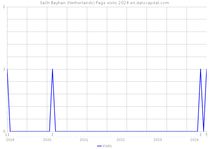 Salih Bayhan (Netherlands) Page visits 2024 