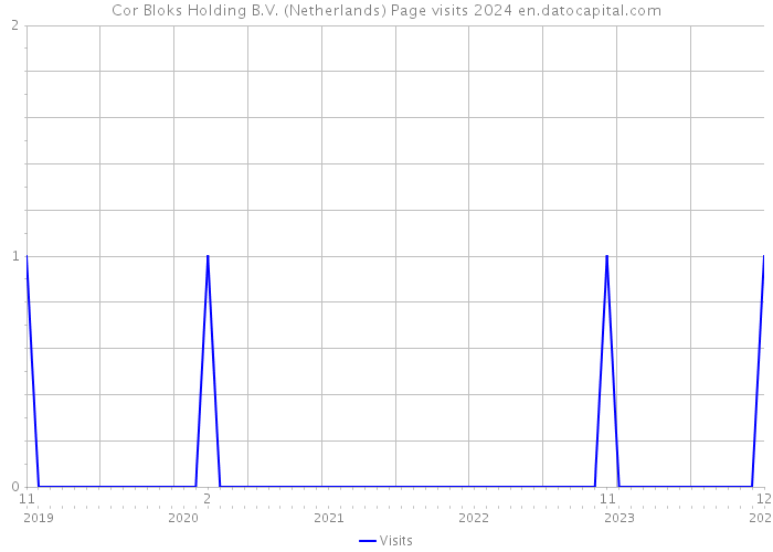 Cor Bloks Holding B.V. (Netherlands) Page visits 2024 