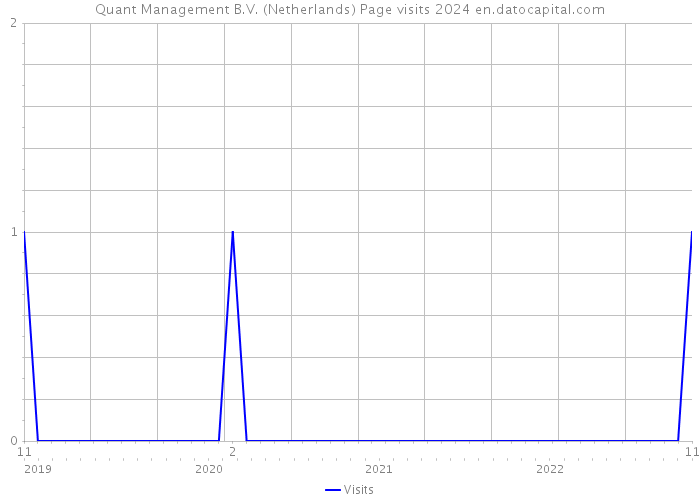 Quant Management B.V. (Netherlands) Page visits 2024 