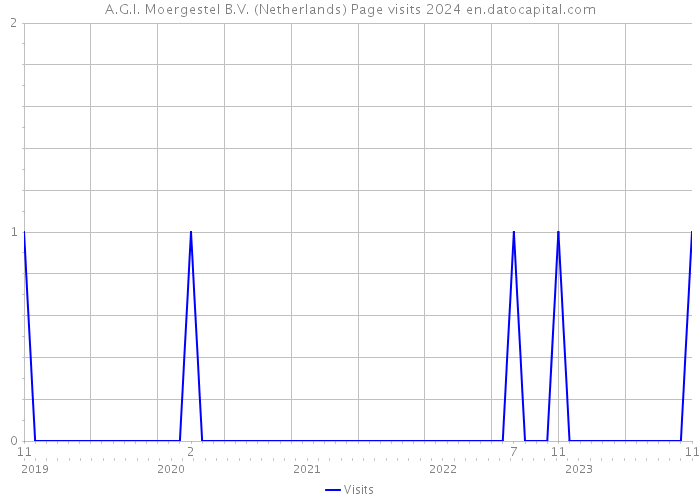 A.G.I. Moergestel B.V. (Netherlands) Page visits 2024 