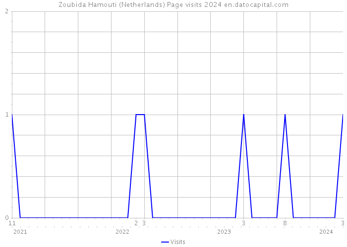 Zoubida Hamouti (Netherlands) Page visits 2024 