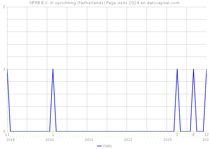 NFRB B.V. in oprichting (Netherlands) Page visits 2024 