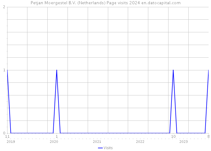 Petjan Moergestel B.V. (Netherlands) Page visits 2024 