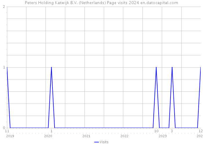Peters Holding Katwijk B.V. (Netherlands) Page visits 2024 