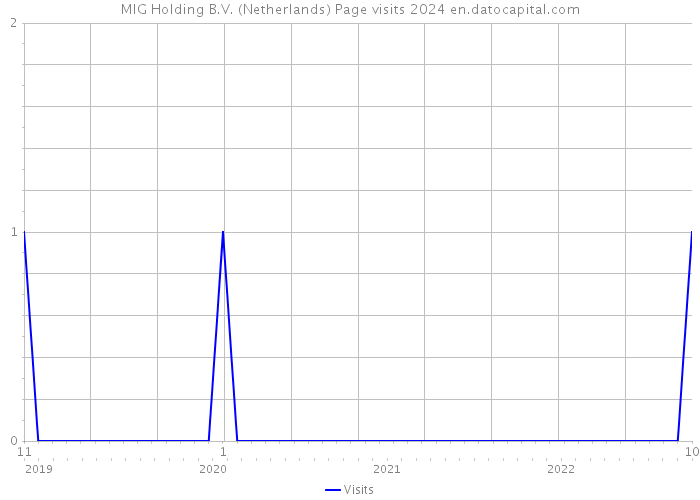 MIG Holding B.V. (Netherlands) Page visits 2024 
