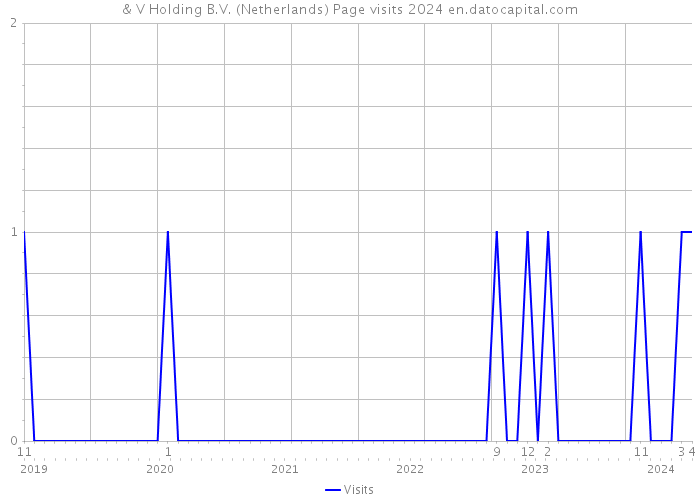& V Holding B.V. (Netherlands) Page visits 2024 