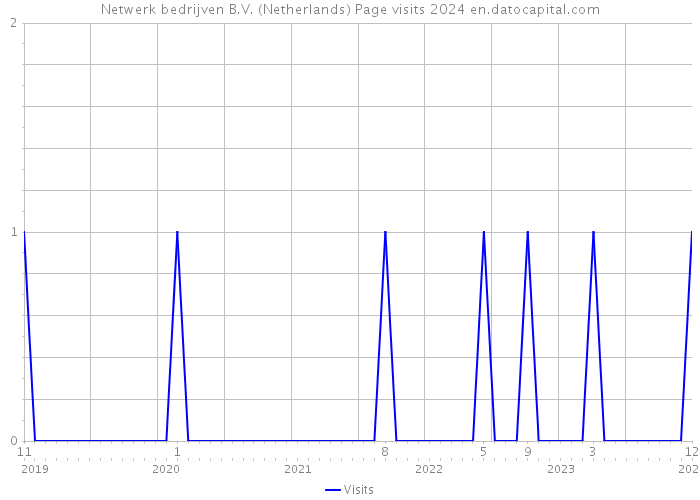 Netwerk bedrijven B.V. (Netherlands) Page visits 2024 