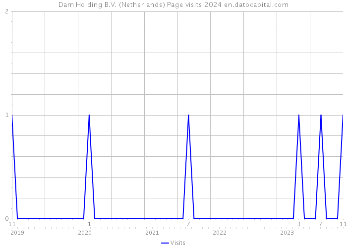 Dam Holding B.V. (Netherlands) Page visits 2024 