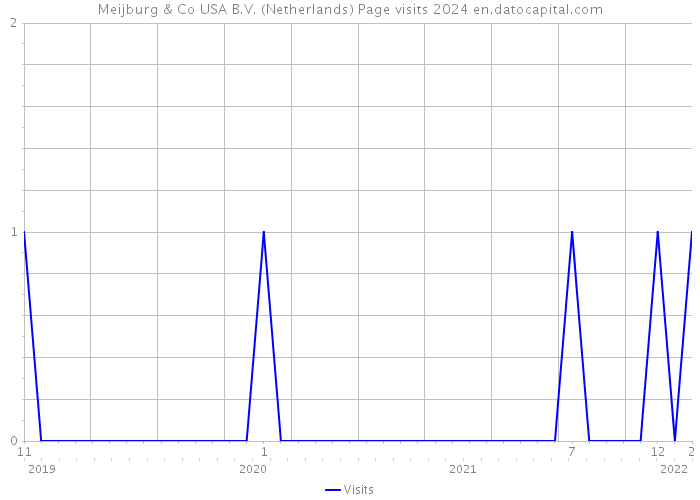 Meijburg & Co USA B.V. (Netherlands) Page visits 2024 