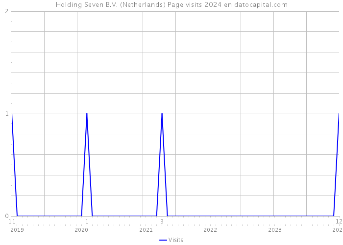 Holding Seven B.V. (Netherlands) Page visits 2024 