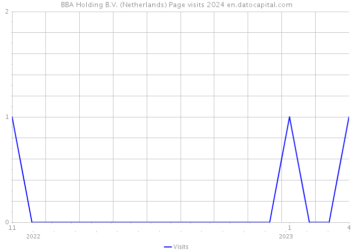 BBA Holding B.V. (Netherlands) Page visits 2024 