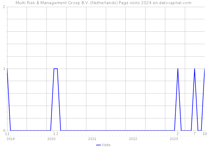 Multi Risk & Management Groep B.V. (Netherlands) Page visits 2024 