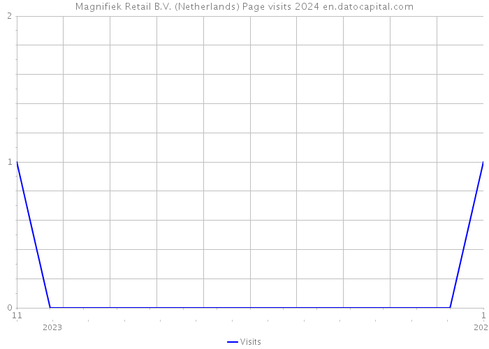 Magnifiek Retail B.V. (Netherlands) Page visits 2024 