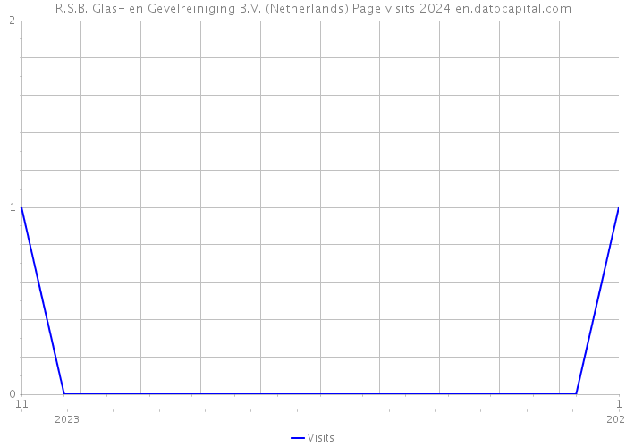 R.S.B. Glas- en Gevelreiniging B.V. (Netherlands) Page visits 2024 
