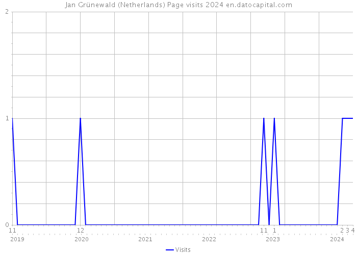 Jan Grünewald (Netherlands) Page visits 2024 