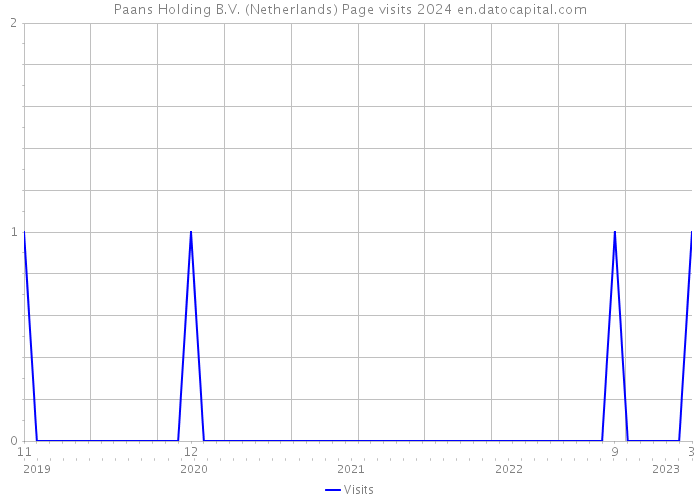 Paans Holding B.V. (Netherlands) Page visits 2024 